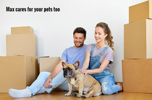 Pet Friendly Removalist